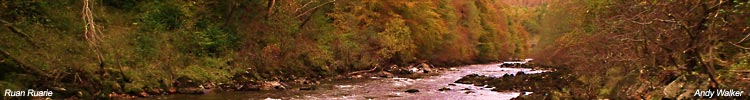 Ruan Ruarie salmon fishing